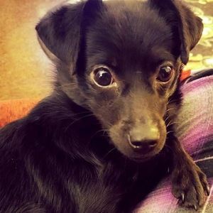 Meet your Posher, Lynn